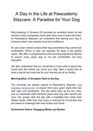 South Park Doggie Adventureland Pawcademy and Theme Park | Dog Daycare, Boarding