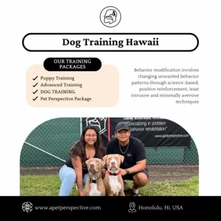 Dog Training Hawaii