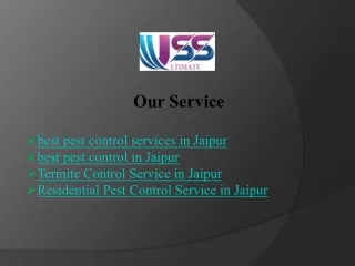Reliable Termite Control Service in Jaipur