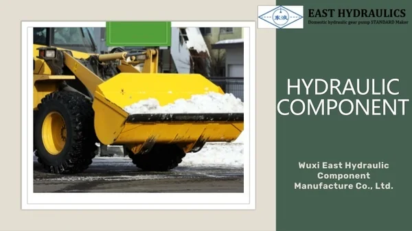 1Hydraulic Component