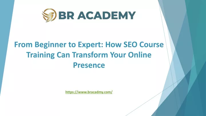 from beginner to expert how seo course training can transform your online presence