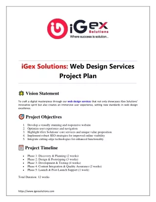 iGex Solutions Web Design Services Project Plan