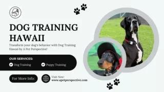 Dog Training Hawaii