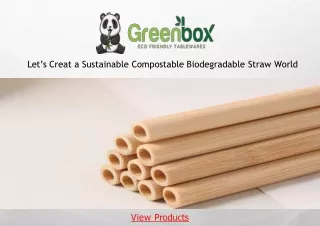 Eco-Friendly Compostable Sugarcane Straws - Sustainable Solutions by Greenbox LL