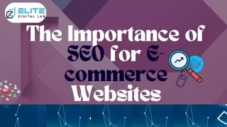 The Importance of SEO for E-commerce Websites