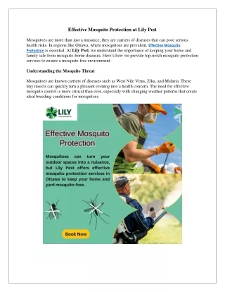 Effective Mosquito Protection at Lily Pest
