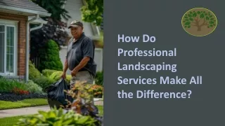 How Do Professional Landscaping