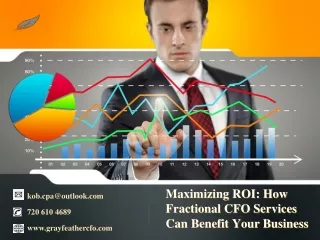 Maximizing ROI How Fractional CFO Services Can Benefit Your Business