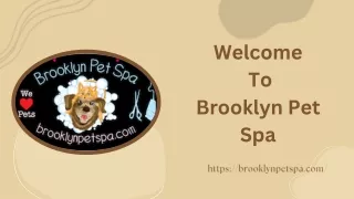 Dog Grooming Services