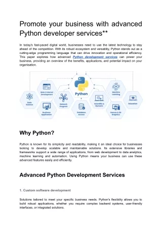 Promote your business with advanced Python developer services