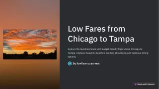 Low-Fares-from-Chicago-to-Tampa