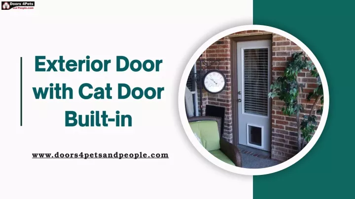 exterior door with cat door built in