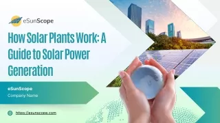 How Solar Plants Work A Guide to Solar Power Generation