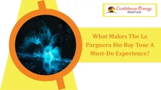 What Makes The La Parguera Bio Bay Tour A Must-Do Experience