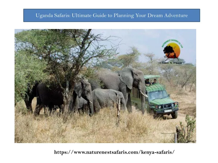 uganda safaris ultimate guide to planning your