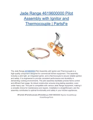 Jade Range 4619600000 Pilot Assembly with Ignitor and Thermocouple _ PartsFe