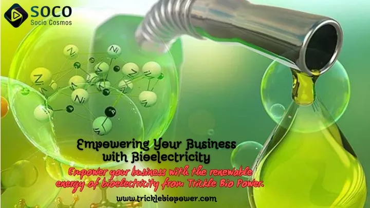 empower your business with the renewable energy