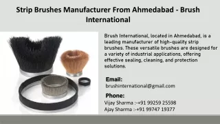 Strip Brushes Manufacturer From Ahmedabad - Brush International