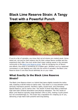 Black Lime Reserve Strain_ A Tangy Treat with a Powerful Punch