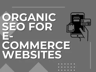 organic organic seo for seo for e e commerce
