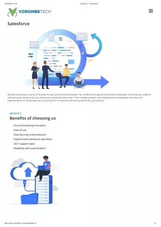 Top Salesforce Consultants in Delhi