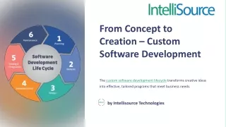 Custom Software Development Lifecycle