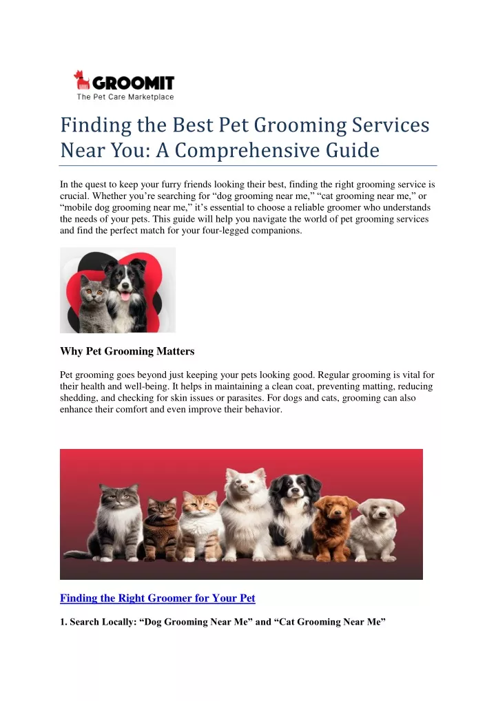 finding the best pet grooming services near