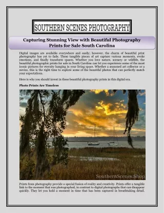 Capturing Stunning View with Beautiful Photography Prints for Sale South Carolina