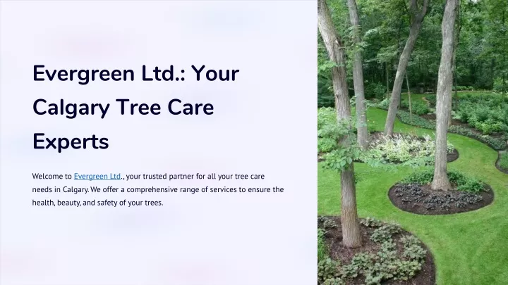 evergreen ltd your calgary tree care experts