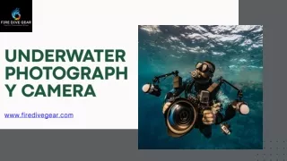 Underwater Photography Camera An Unforgettable Experience