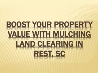 Boost Your Property Value with Mulching Land Clearing in Rest SC