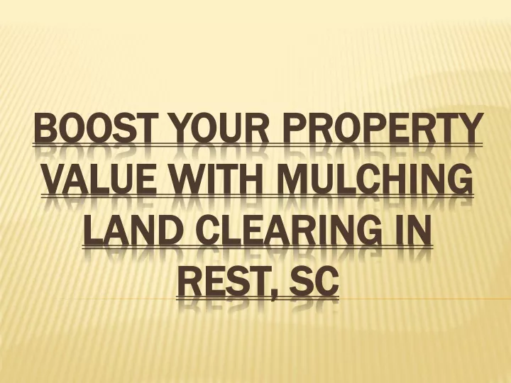 boost your property value with mulching land clearing in rest sc