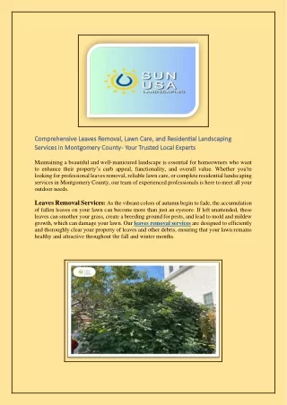 Comprehensive Leaves Removal, Lawn Care, and Residential Landscaping Services in