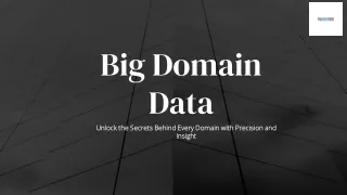 Big Domain Data