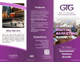 E-Commerce Marketing Expertise | Go To Groww