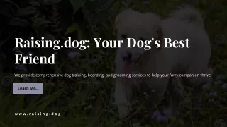 Raising Dog: Safe and Comfortable Dog Boarding Solutions