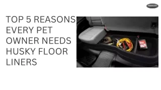 Top 5 Reasons Every Pet Owner Needs Husky Floor Liners