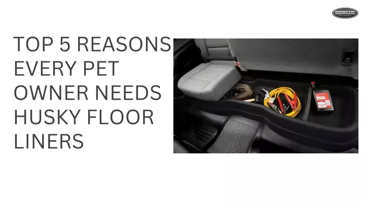 top 5 reasons every pet owner needs husky floor