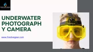 Underwater Photography Camera An Unforgettable Experience