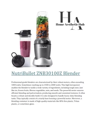 NutriBullet ZNB30100Z Blender