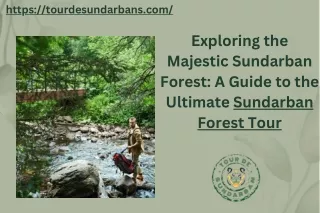 Exploring the Majestic Sundarban Forest