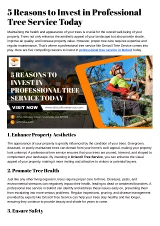 5 Reasons to Invest in Professional Tree Service Today