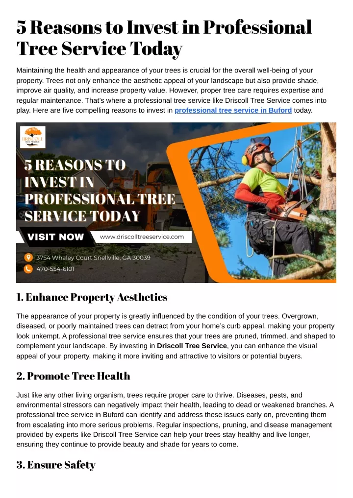 5 reasons to invest in professional tree service