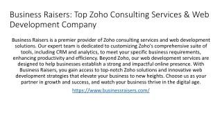 Business Raisers - Your Reliable Zoho Consulting Partner