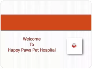 Spay And Neuter Hospital | Happy Paws Pet Hospital