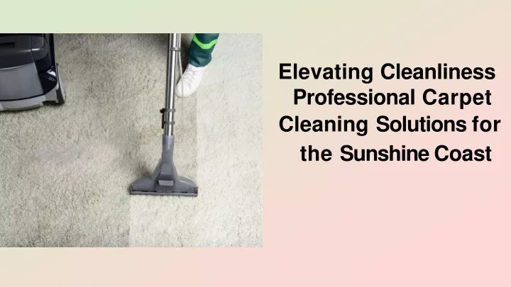 elevating cleanliness professional carpet