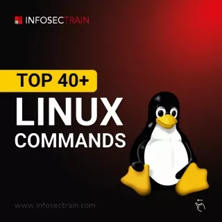 Top 40   Linux Commands