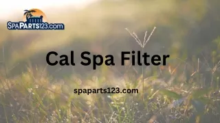 Upgrade Your Spa with a Cal Spa Filter