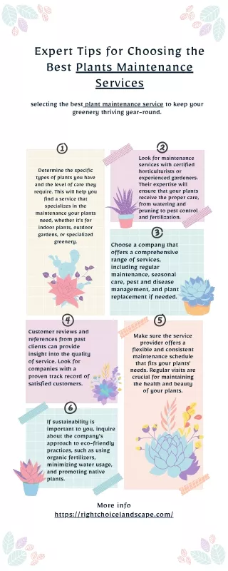 Expert Tips for Choosing the Best Plants Maintenance Services