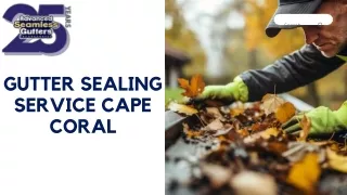 Gutter Sealing Service Cape Coral